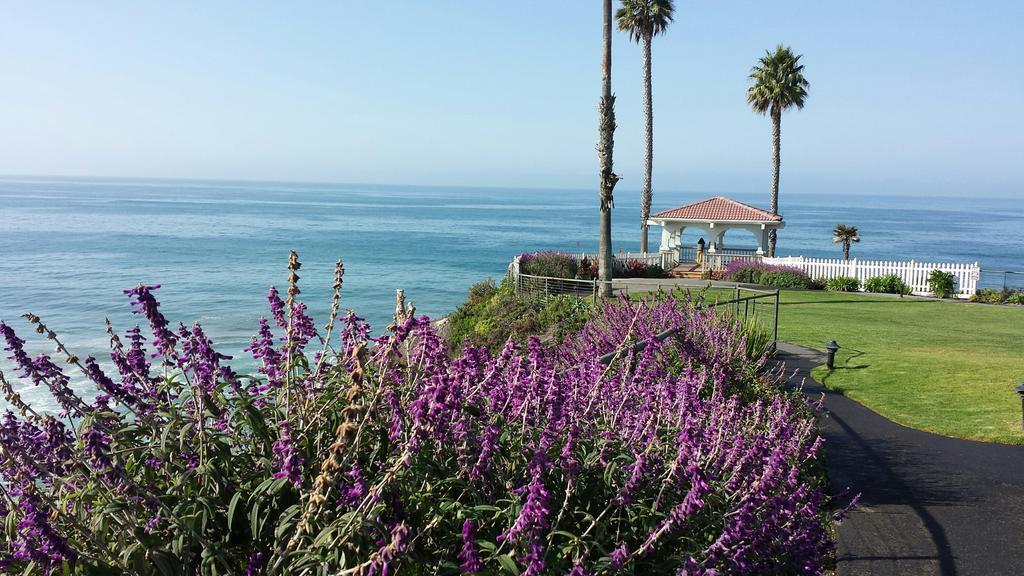 Shore Cliff Hotel Pismo Beach Exterior foto
